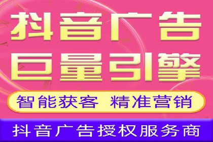 某行业领先企业背后的百度推广代理商策略